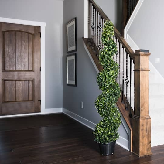5ft. Potted Green Boxwood Spiral Tree